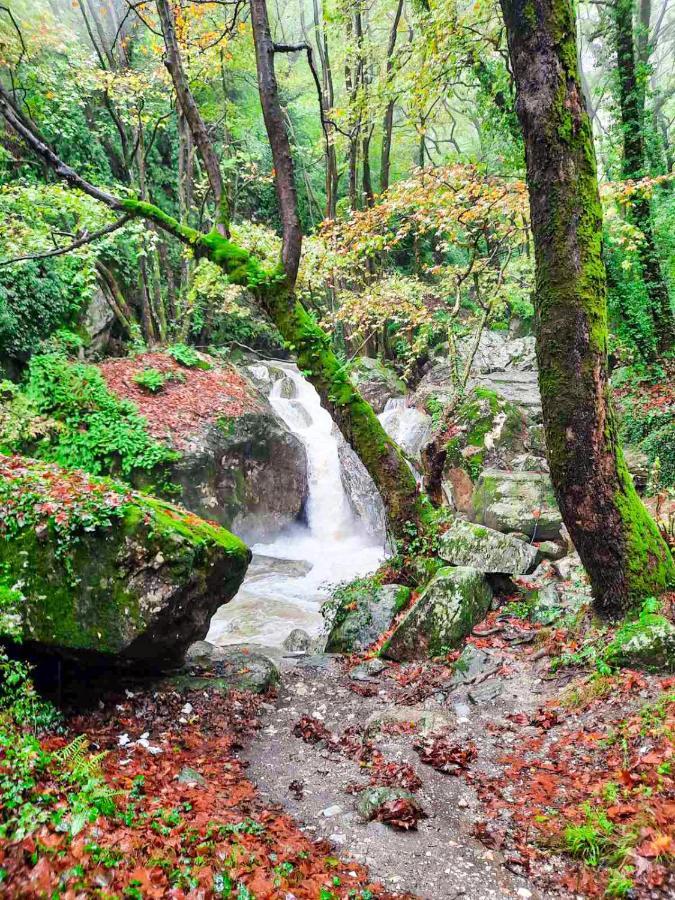 A Dream Deferred Villa Pelion Kissos (Thessaly) Exterior foto