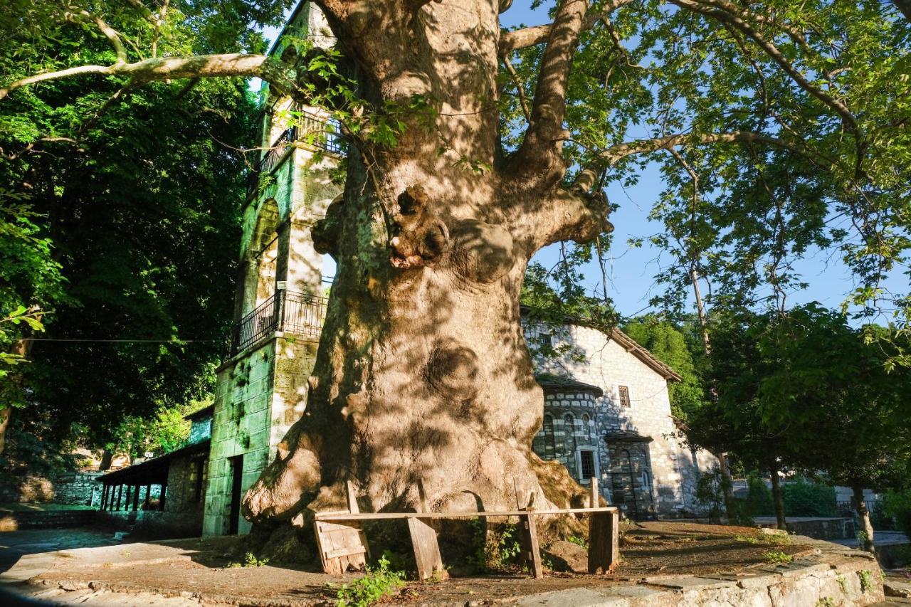 A Dream Deferred Villa Pelion Kissos (Thessaly) Exterior foto