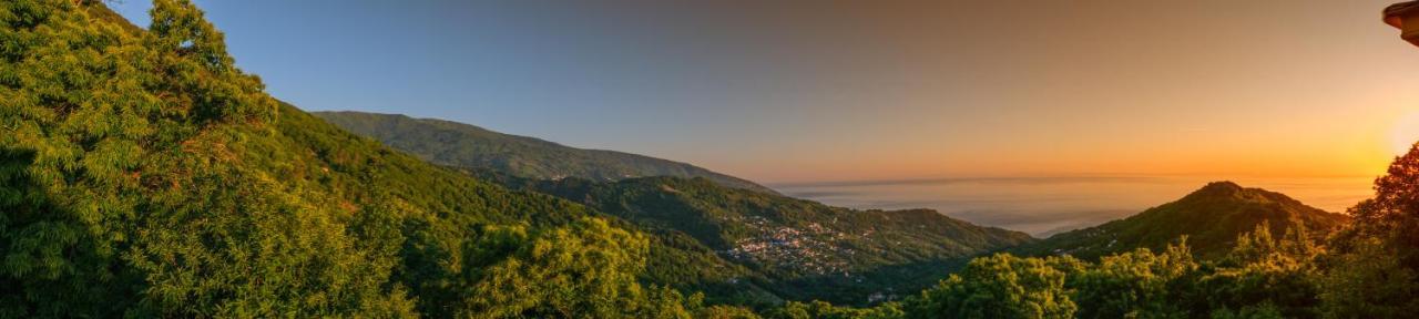 A Dream Deferred Villa Pelion Kissos (Thessaly) Exterior foto